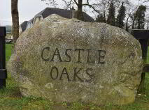 Photo 2 of 3 Castle Oaks, Kiltegan
