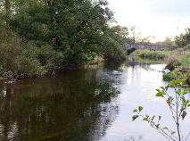 Photo 19 of 42 Slaney Bank View, Rathvilly