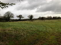 Photo 3 of C. 12 Acre Field, Lanespark, Ballynonty, Thurles, Tipperary