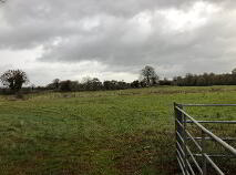 Photo 5 of C. 12 Acre Field, Lanespark, Ballynonty, Thurles, Tipperary