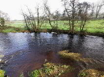 Photo 11 of (Lot 1) 3 The Mill, Baltinglass