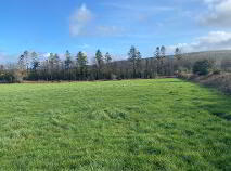 Photo 4 of C. 13.42 Acres, Ballycocksoost, Inistioge