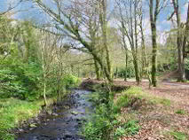 Photo 17 of Ballyvoureen, Limerick