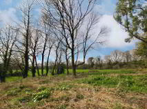 Photo 37 of Ballyvoureen, Limerick