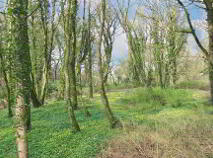 Photo 46 of Ballyvoureen, Limerick