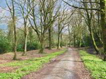 Photo 45 of Ballyvoureen, Limerick