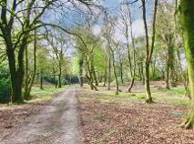 Photo 15 of Ballyvoureen, Limerick