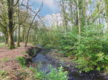 Photo 16 of Ballyvoureen, Limerick