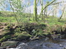 Photo 43 of Ballyvoureen, Limerick