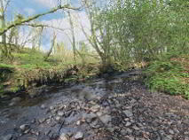 Photo 44 of Ballyvoureen, Limerick