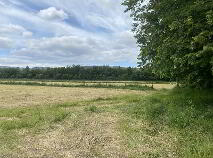 Photo 4 of 3.7 Acres, 1.5 Ha At The Old Dublin Road, Tincurry, Cahir