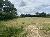 Photo 5 of 3.7 Acres, 1.5 Ha At The Old Dublin Road, Tincurry, Cahir