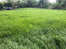 Photo 4 of Lurriga, Patrickswell