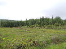 Photo 2 of Forestry Lots, Ballintra Area, Ballintra