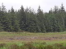 Photo 5 of Forestry Lots, Ballintra Area, Ballintra