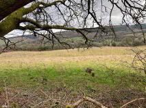 Photo 5 of (Lot 3) Ballymoloney & Ballyquinn, Kilbane, Broadford, County Clare