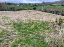 Photo 10 of (Lot 3) Ballymoloney & Ballyquinn, Kilbane, Broadford, County Clare