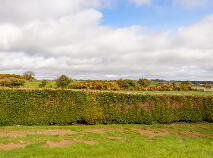 Photo 44 of Stonefield, Fieldstown, Monasterboice