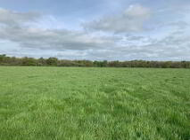 Photo 2 of Millbrook, Ballinaclough, Nenagh
