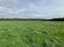 Photo 3 of Millbrook, Ballinaclough, Nenagh