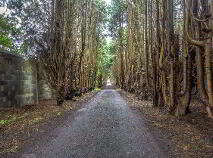 Photo 13 of Kilcohan House, Kilcohan, Waterford City