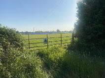 Photo 2 of Circa 13 Acres, At Lanespark/Kileen, Ballynonty, Thurles