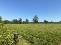 Photo 6 of Circa 13 Acres, At Lanespark/Kileen, Ballynonty, Thurles