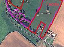 Photo 1 of 7 Acres, Millbrook, Ballinaclough, Nenagh