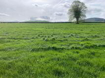 Photo 3 of 7 Acres, Millbrook, Ballinaclough, Nenagh