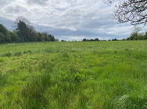 Photo 3 of 10 Acres-Rincoolagh, Abbeylara