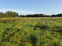 Photo 4 of 38 Acres, Martinstown, Athboy