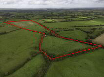 Photo 5 of 38 Acres, Martinstown, Athboy