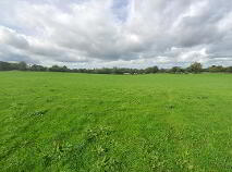 Photo 6 of 19.64 Acres, Glaxtown, Collinstown