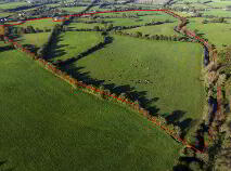 Photo 1 of 81 Acres Clondalee Beg, Hill Of Down, Enfield