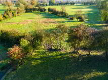 Photo 4 of 81 Acres Clondalee Beg, Hill Of Down, Enfield