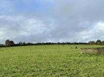 Photo 17 of Circa 57 Acres, 22.98 Hectares At Milestown, Cloneen