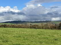 Photo 7 of Circa 57 Acres, 22.98 Hectares At Milestown, Cloneen