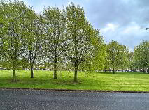 Photo 2 of 6 The Park, Millmount Abbey, Drogheda