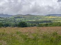 Photo 1 of Lands, Of Circa 8 Acres At Skeheenarinky, Cahir, Burncourt