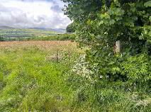 Photo 3 of Lands, Of Circa 8 Acres At Skeheenarinky, Cahir, Burncourt