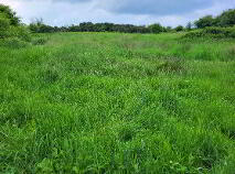 Photo 24 of Copse, Boyle, Co Sligo