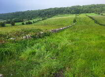 Photo 16 of Knockroe, Ballinafad