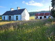 Photo 8 of Knockroe, Ballinafad