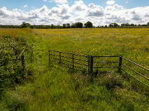 Photo 3 of 9.5 Acres - Ballivor, Carranstown, Ballivor