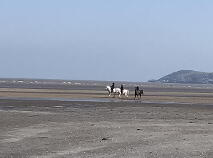 Photo 16 of 9 Seanachai Holiday Homes, Pulla, Ring, Dungarvan