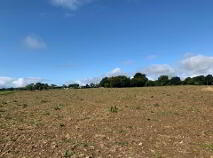 Photo 5 of Ballycapplewood, Bantis, Cloughjordan, Nenagh