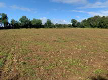 Photo 1 of Ballycapplewood, Bantis, Cloughjordan, Nenagh