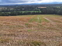 Photo 3 of Graigalug, Graigue Na Spideog, Carlow