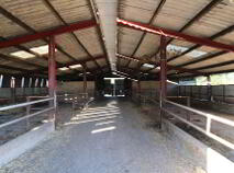 Photo 4 of 34 Acres, Coolderry, Ardcroney, Nenagh