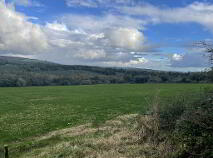 Photo 13 of Monavugga On 16.6 Acres, Cappoquin